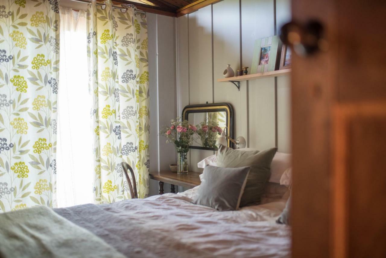 Little Kestrel Cabin Pennal المظهر الخارجي الصورة
