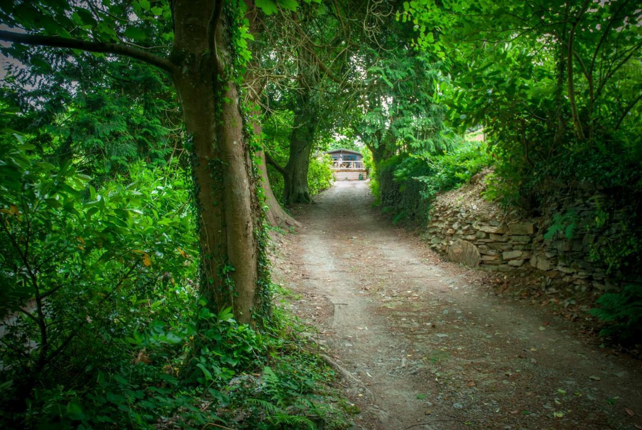 Little Kestrel Cabin Pennal المظهر الخارجي الصورة